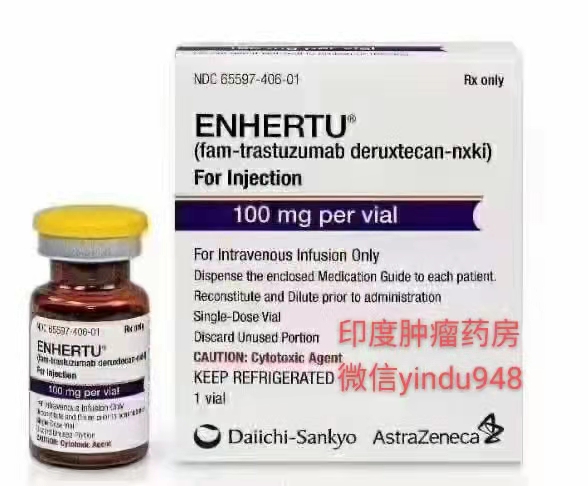 Enhertu(DS-8201)Fam-trastuzumab/deruxtecan-nxki